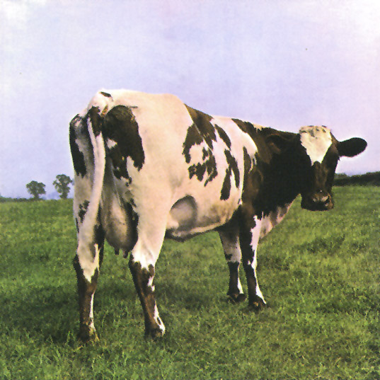 atom heart mother