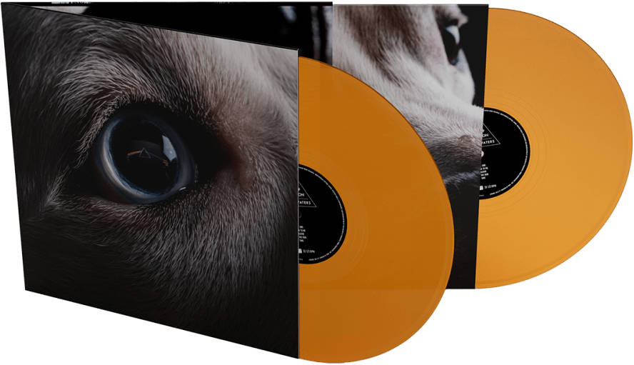 The Dark Side of the Moon Redux in orange vinyl